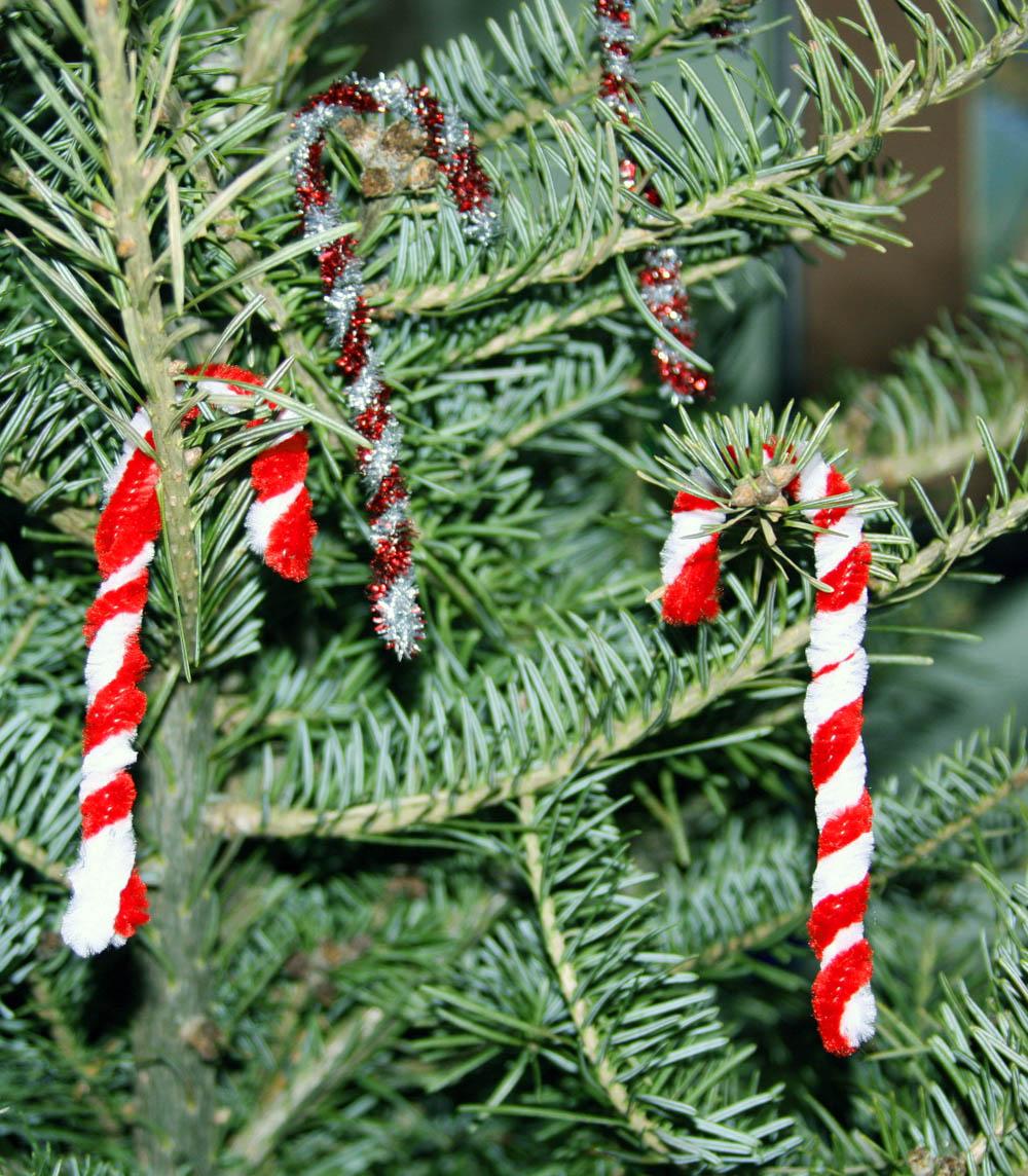 Candy cane ornaments hanging from Christmas tree