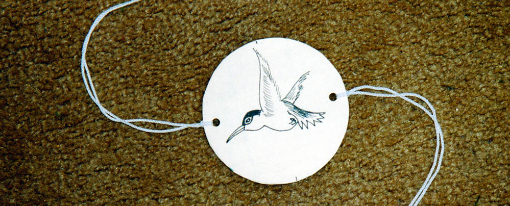 summer nature craft spinning hummingbird
